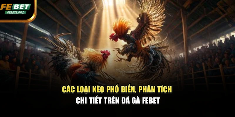 Các loại kèo phổ biến, phân tích chi tiết trên đá gà FEBET