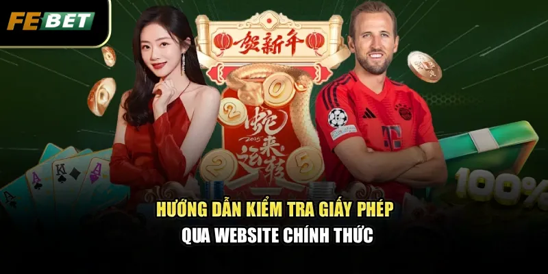 Hướng dẫn kiểm tra giấy phép qua website chính thức